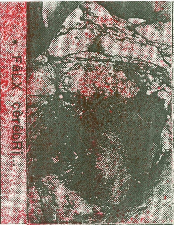 Pyogenic Organism