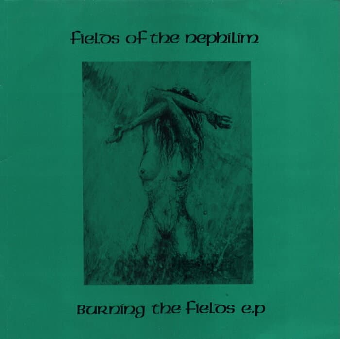 Burning The Fields EP