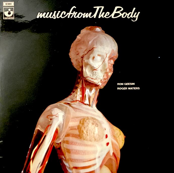 Music From The Body