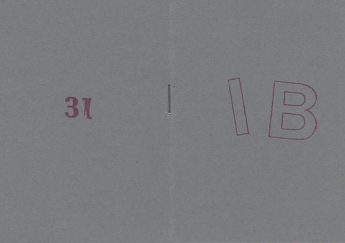 IAC 31 J Bok Landscapes
