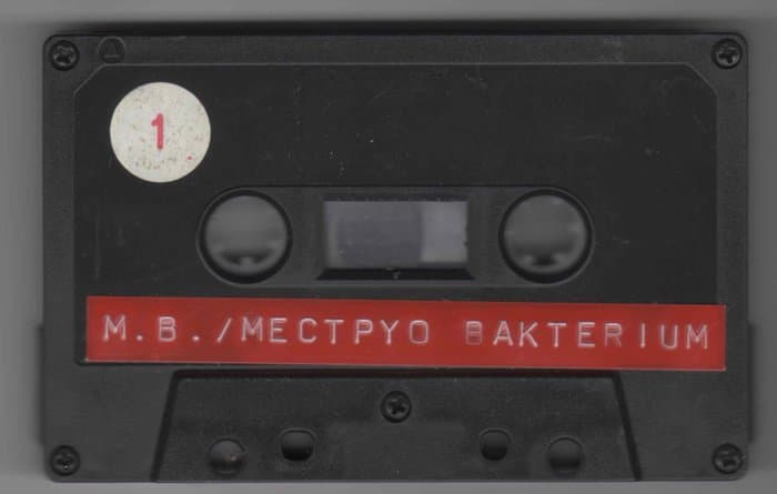 Mectpyo Bakterium