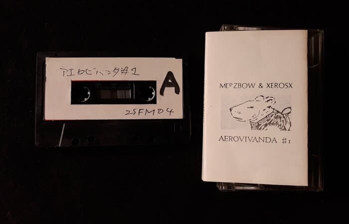 Aerovivanda #1
