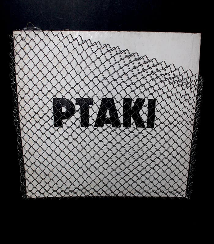 Ptaki