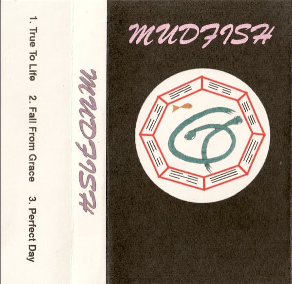 Mudfish