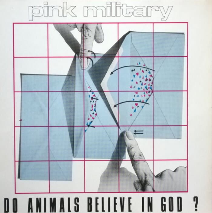 Do Animals Believe In God?