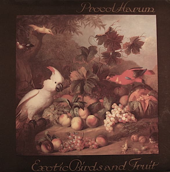 Exotic Birds And Fruit