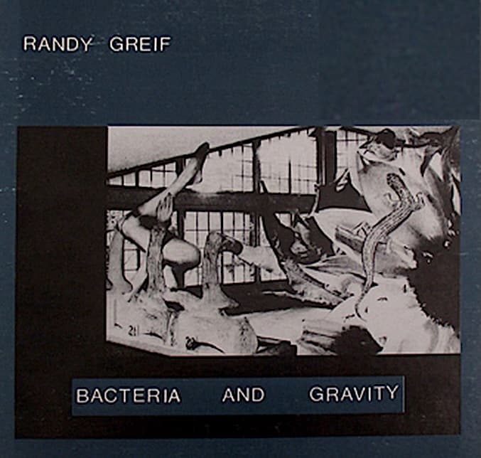 Bacteria And Gravity