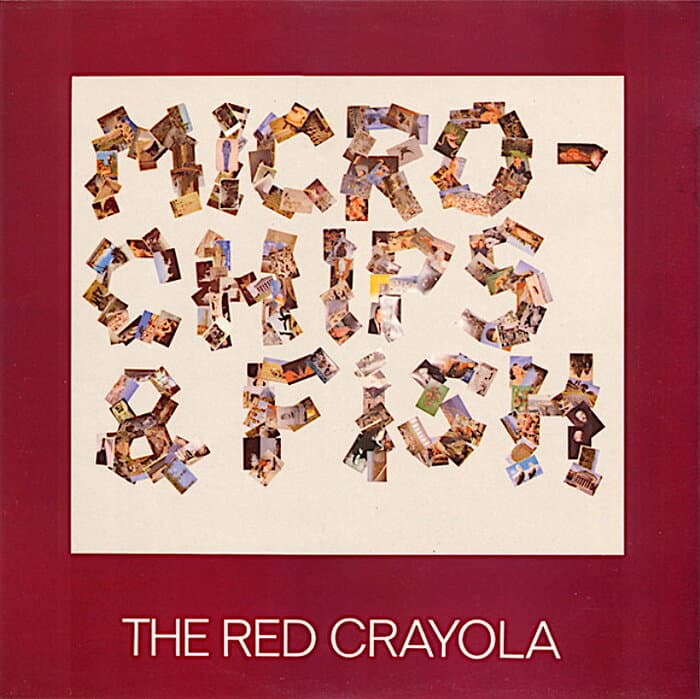 Micro-Chips & Fish