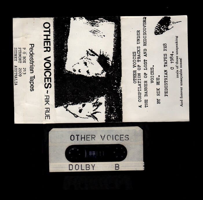 Other Voices