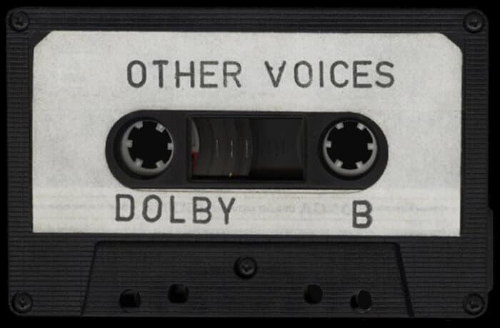 Other Voices