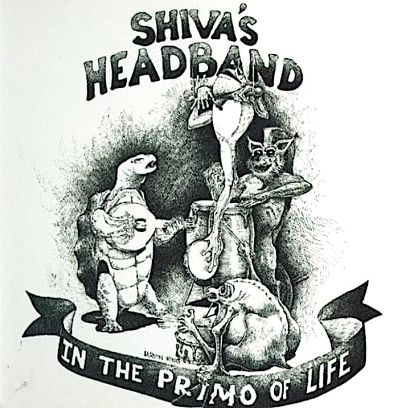 In The Primo Of Life