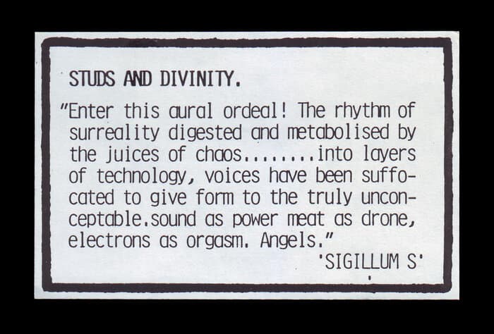 Studs And Divinity