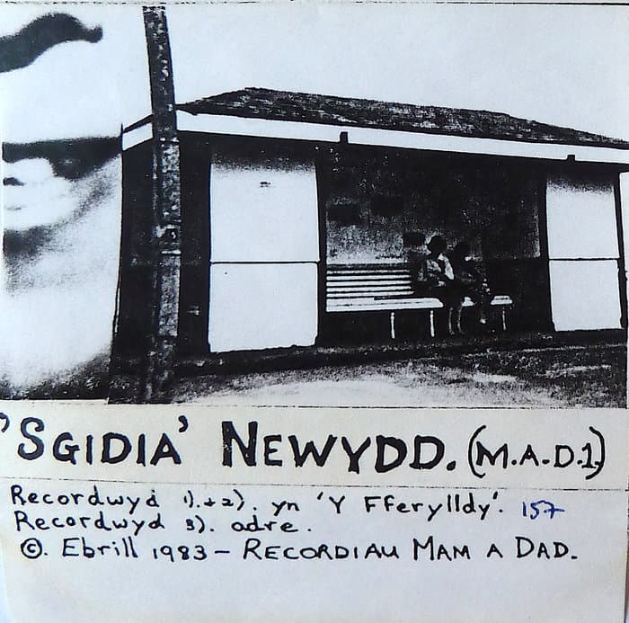 Sgidia Newydd
