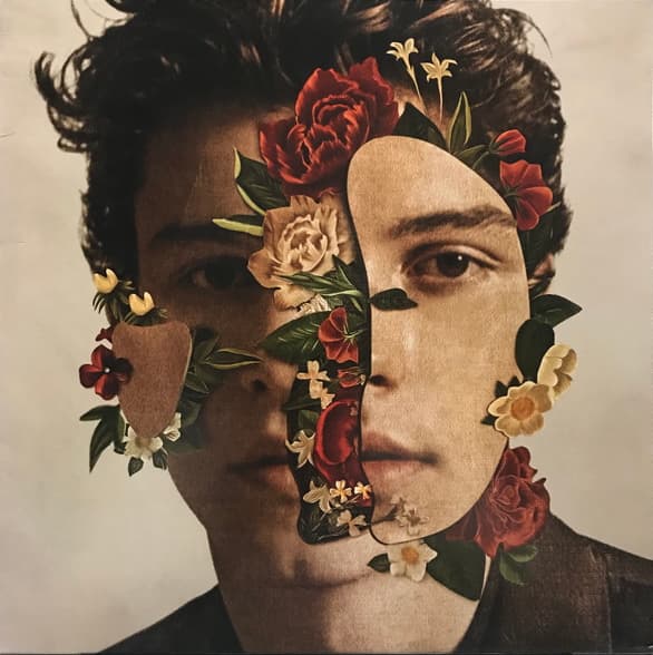 Shawn Mendes