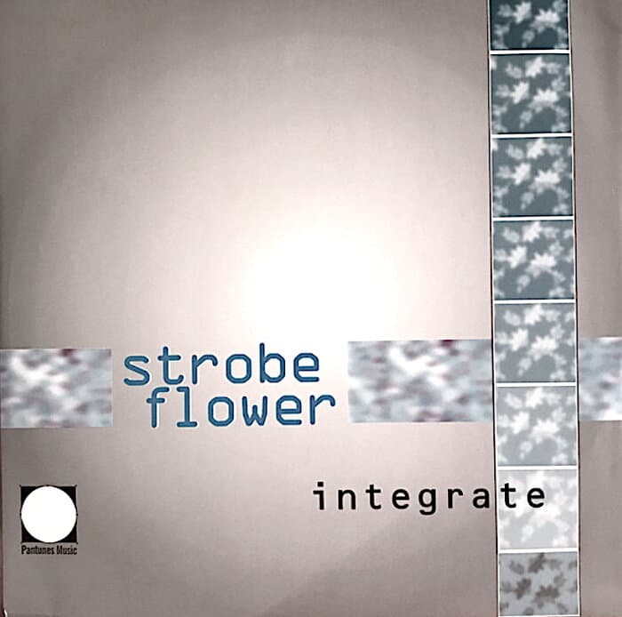 Strobe Flower