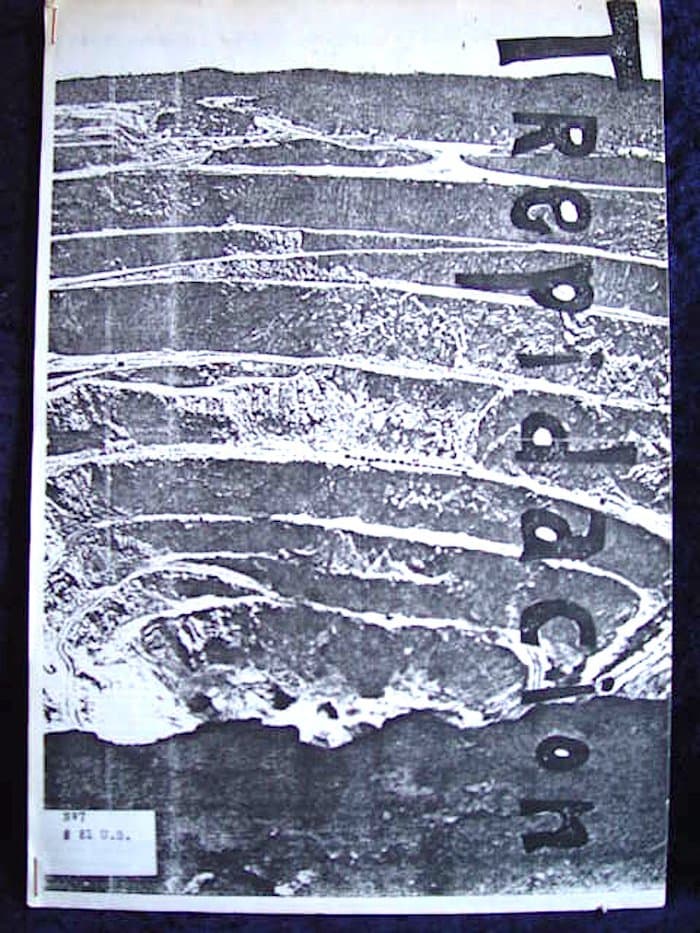 Trepidacion 7