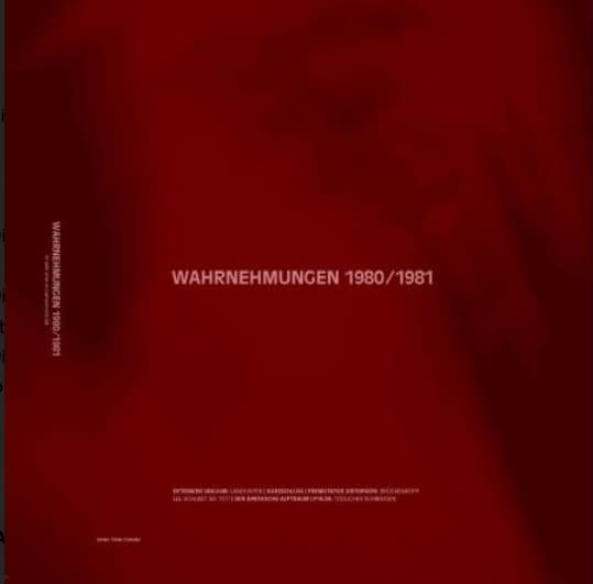 Wahrnehmungen 1980/1981