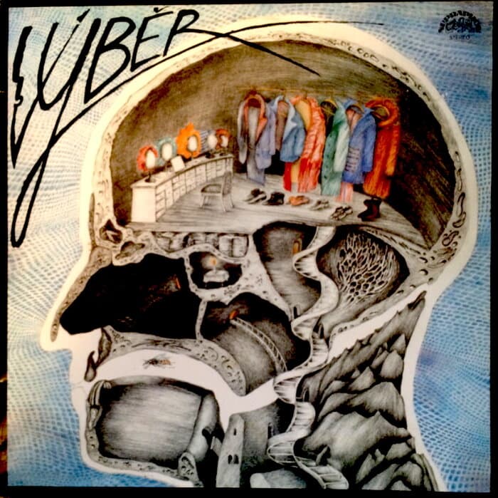 Vyber