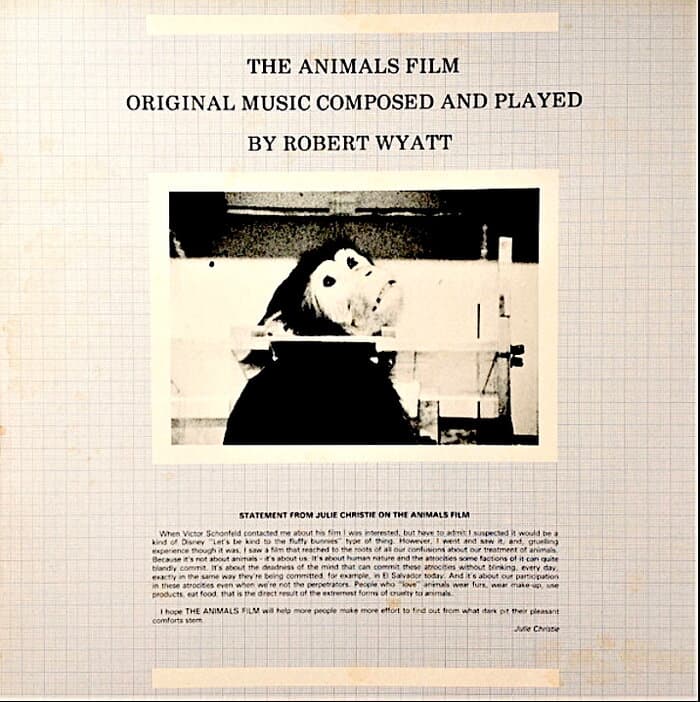 The Animals Film