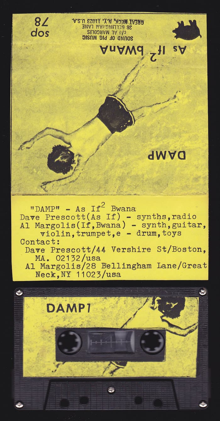 Damp