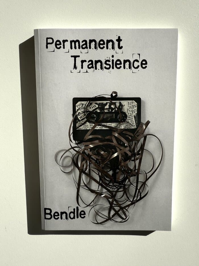 Permanent Transience (English Edition)