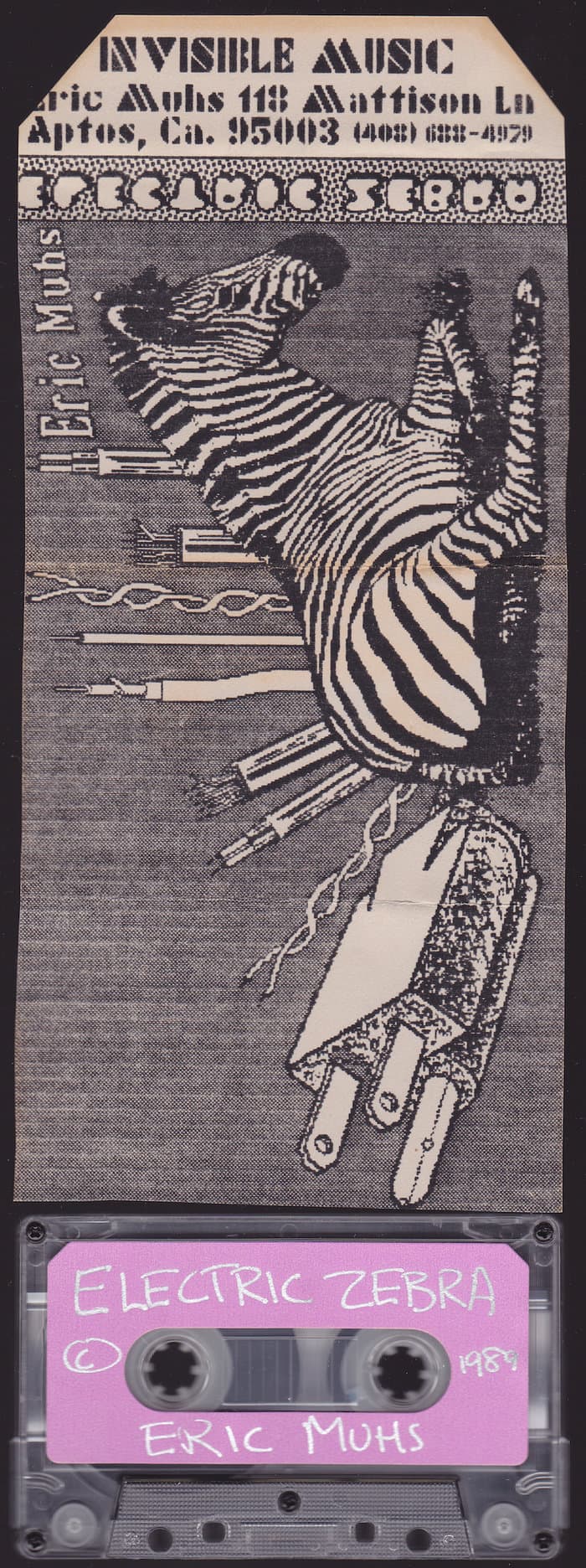 Electric Zebra