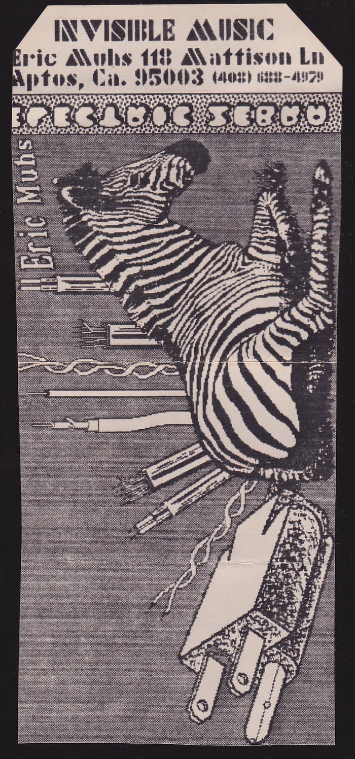 Electric Zebra