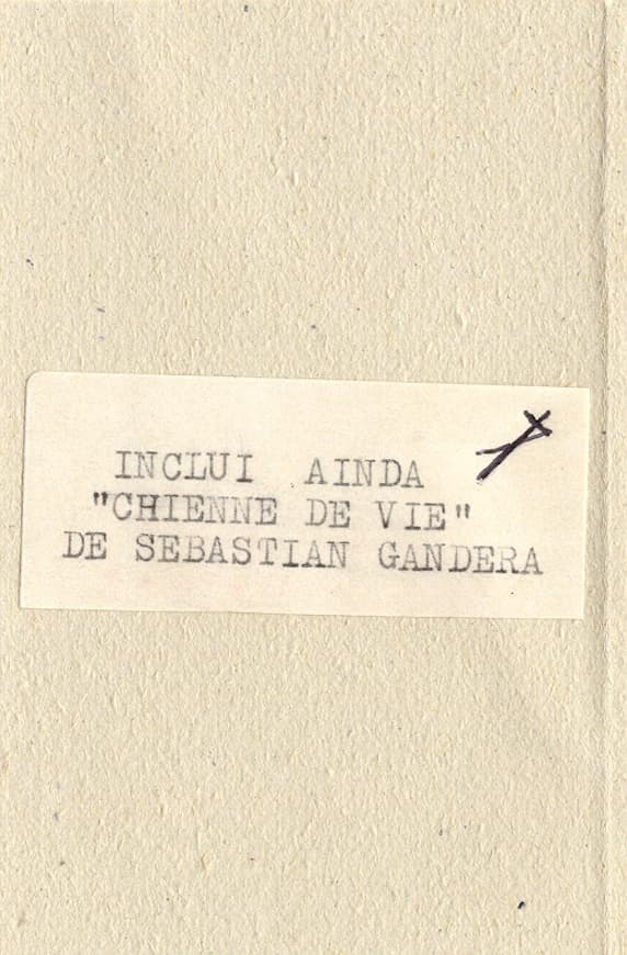 Experiences Sonoras