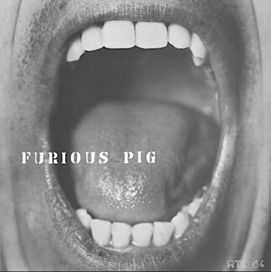 Furious Pig