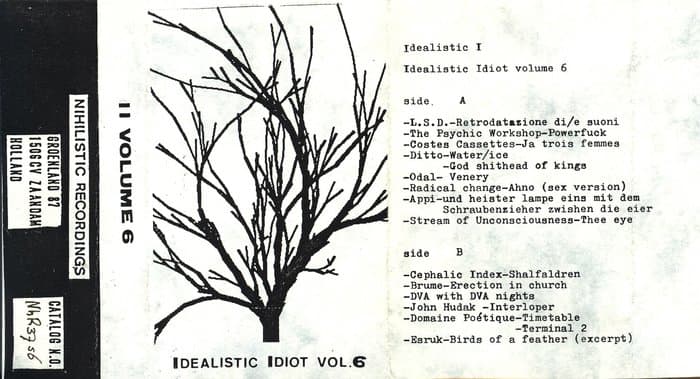 Idealistic Idiot Vol.6