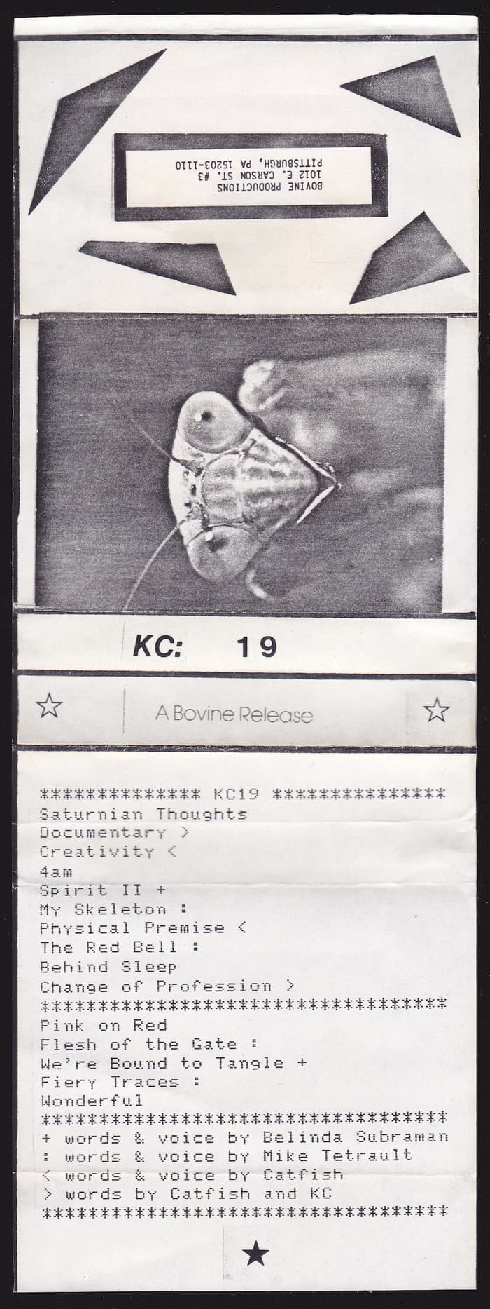 KC 19