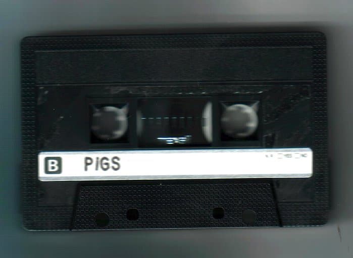 Backpigs