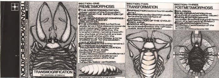 Transmogrification