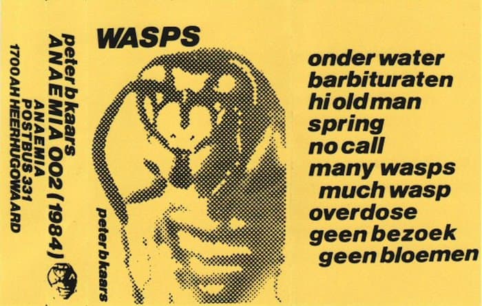 Wasps