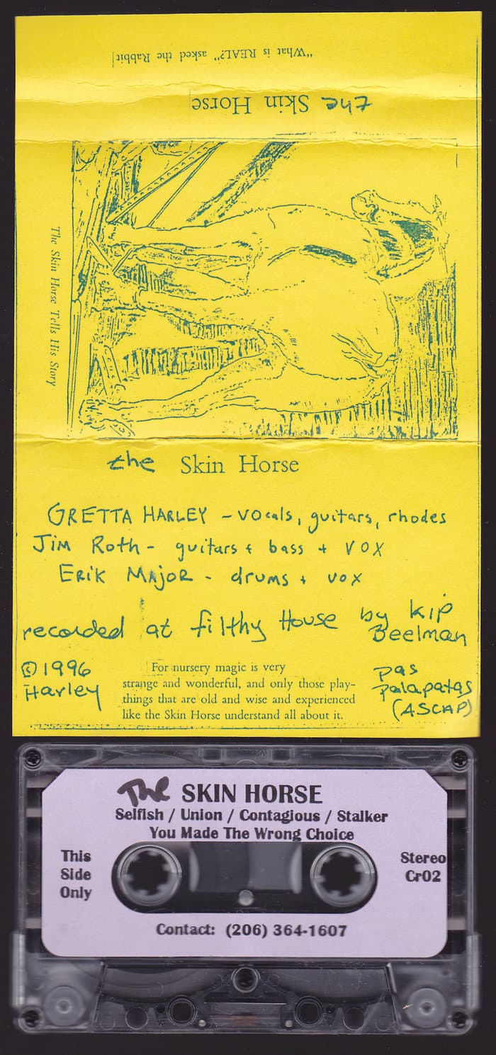 The Skin Horse Tells his Story