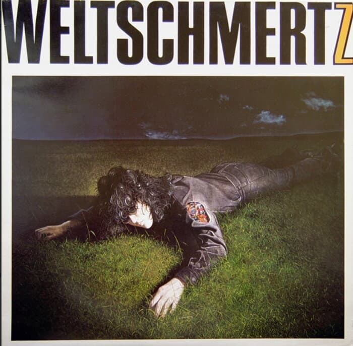 Weltschmertz