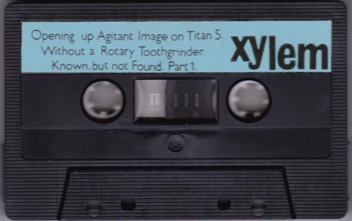 Xylem