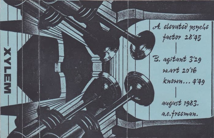 Xylem
