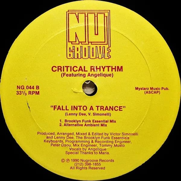 Critical Rhythm Featuring Jango Thriller & Vandal — It Could Not Happen