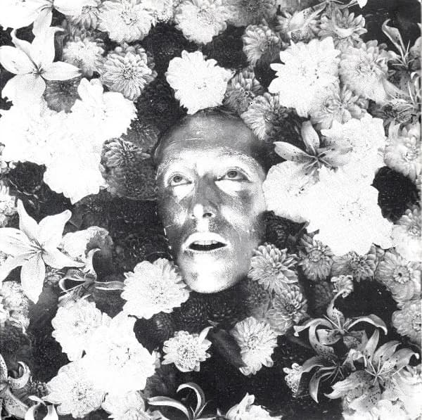 DsorDNE / The Legendary Pink Dots — DsorDNE / Premonition 11