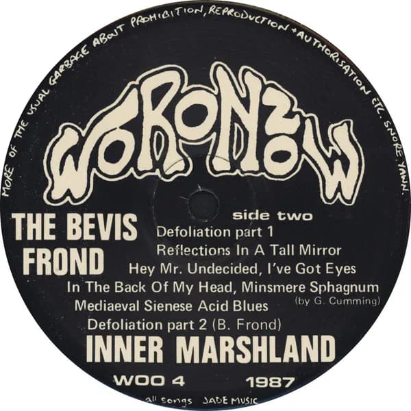 The Bevis Frond — Inner Marshland