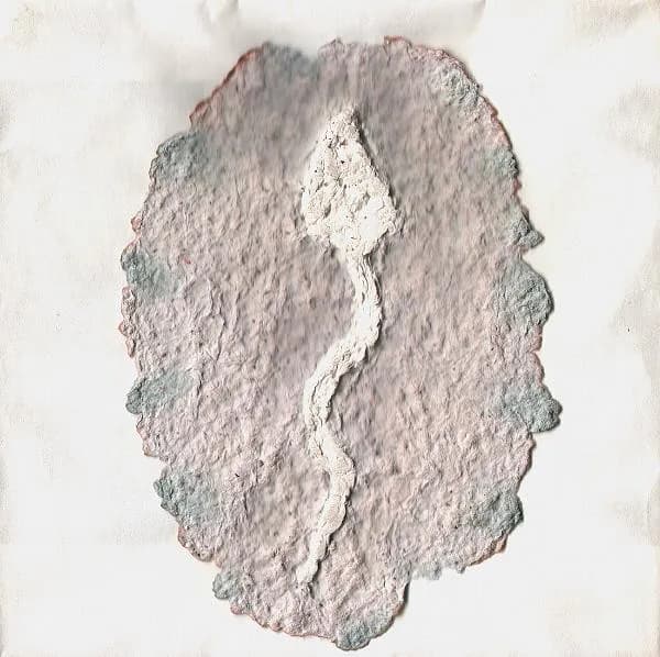 Sperm + Egg