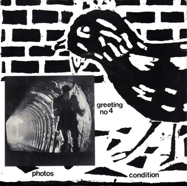 Photos / Condition
