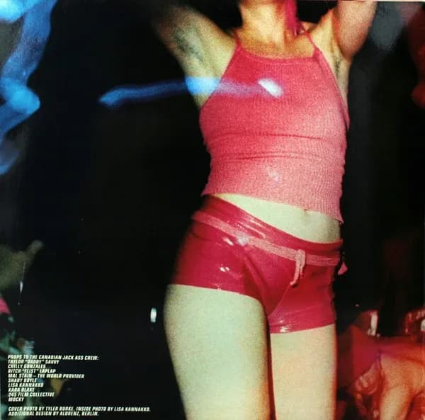 Peaches — The Teaches Of Peaches