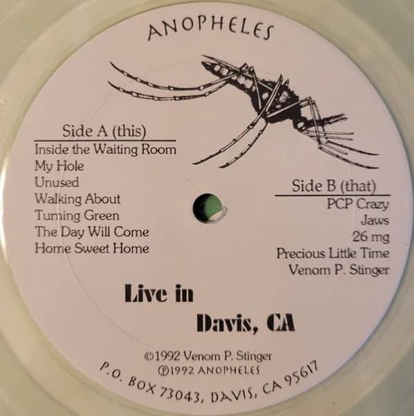 Venom P. Stinger — Live