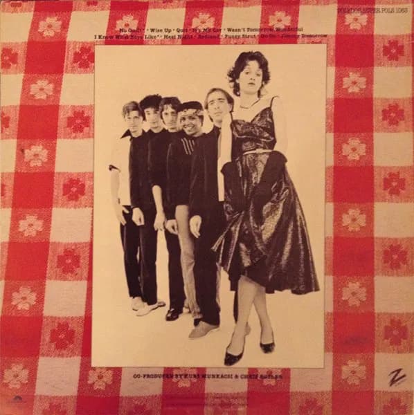 The Waitresses — Wasn't Tomorrow Wonderful?