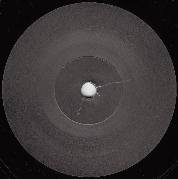 Chris & Cosey — Passion