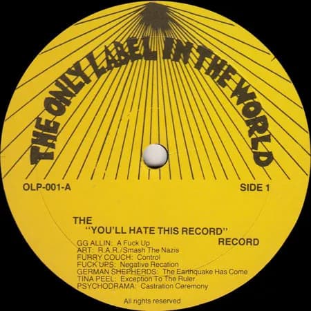 Various — The "You'll Hate This Record" Record