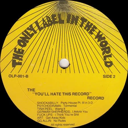 Various — The "You'll Hate This Record" Record