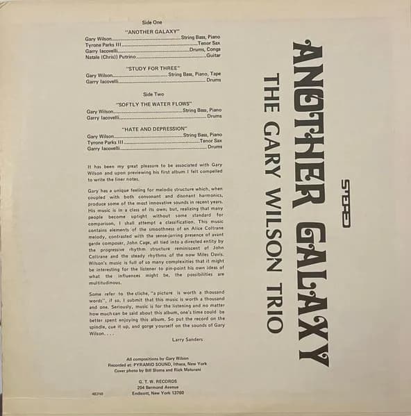 The Gary Wilson Trio — Another Galaxy